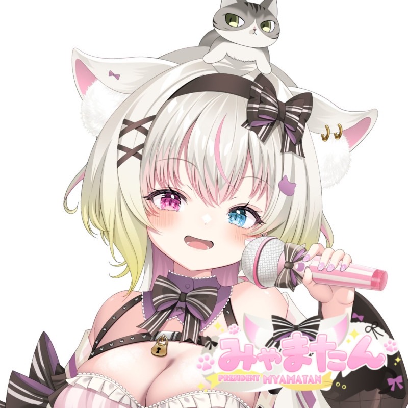 みゃまたん🎀🐈‍⬛🎀